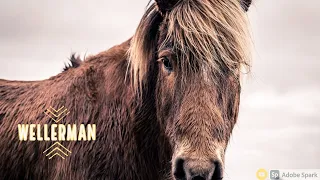 Wellerman || Icelandic Horse Music Video ||