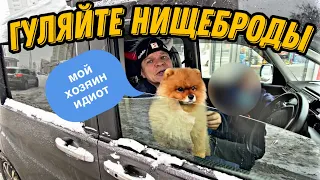 Рогатый мажор учит жизни 😂 Когда деньги решают - ничего!