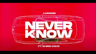 Never Know - LUCIANO (OHNE Shirin David)