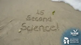 15 Second Science — Entanglement