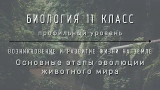 Биология 11 кл Теремов §25 Основные этапы эволюции животного мира