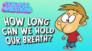 How Long Can You Hold Your Breath? | COLOSSAL QUESTIONS