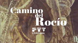 Camino a El Rocío 2023 | Hermandad de Córdoba: salida en directo | PTV Córdoba