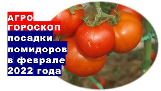 Agrohoroscope of sowing tomato seeds for seedlings in February 2022