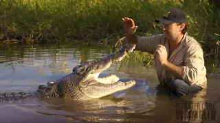 Matt SWIMS with a WILD CROCODILE!