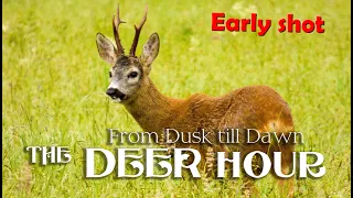 🎯🦌Roe deer hunt - Early shot - The Deer Hour 02