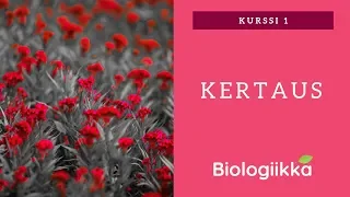 Biologia kurssi 1 tärkeimmät asiat