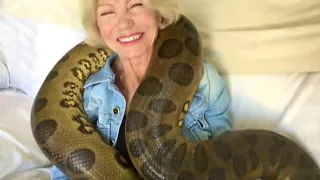 LIVES WITH GIANT ANACONDA Meet Anaconda Named Medusa