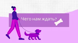 Корма вернутся? Чего ждать? Рассказываю, что мне удалось узнать.