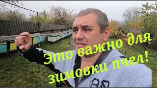 ✅Это важно для хорошей зимовки пчел! Расстояние от рамок до дна улья!