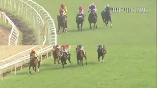 JOAQUIN wins The Noshir & Dolly Dhunjibhoy Sprint Million (Gr.3)