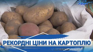 Рекордні 25 гривень за кілограм: картопля стрімко зросла в ціні