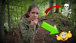 Verloren/Verlaufen im Wald - Und jetzt? ➡️Mit diesen Tipps kannst du es überstehen⬅️