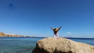 Take A Tour With Dreams Beach Resort Sharm El Sheikh