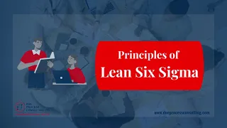 Principles of Lean Six Sigma