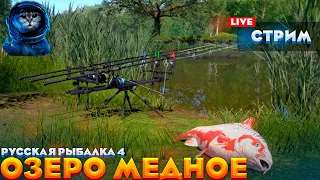 🔴🎣Русская рыбалка 4 🎣 ✨Встречаем обновление 🐟Озеро МЕДНОЕ🌏