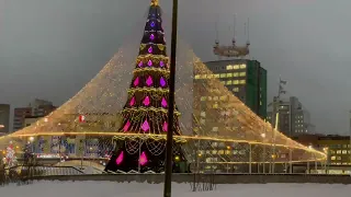 Главная елка на эспланаде в Перми// 2022 год