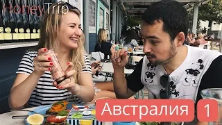 Еда в Австралии, что попробовать в Сиднее из австралийской кухни / часть 1