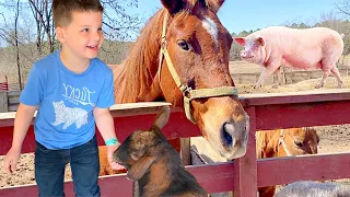 KiDS PETTING ZOO fun! Caleb & Mom VISIT Animal Farm & LEARN ABOUT Animals! Baby Pigs, Goats, Horses!