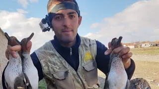 Ördek Avı Dereler Ördek Dolu / A MALLARD HUNT OF A LIFETIME! (MY BEST DUCK HUNT EVER)