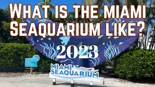 Miami Seaquarium Full Tour & Review & Shows 2023 - What is it like - Things to do in Miami Florida