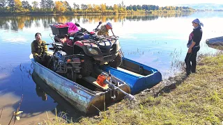 СИБИРЬ. ЗА КЛЮКВОЙ НА БОЛОТО.ГРЕБЁМ ЯГОДУ ВЁДРАМИ.