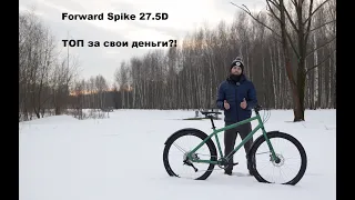 Forward spike 27.5 лучший за 20000?!