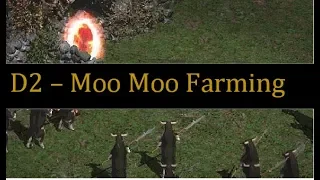 Diablo 2 - Cow Farming with a Blizzard Sorceress