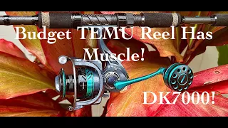 Budget DK7000 POWERFUL TEMU Reel Has Muscle!