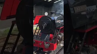 Witness the Magnificence: Steam Locomotive Black Prince at New Romney Station