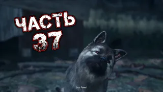 DAYS GONE Прохождение Часть 37 - БУДЬ ПО-ТВОЕМУ. СКОЛЬКИХ ЛЮДЕЙ ОН УГРОБИЛ? ПОПЫТКА ПОМОЧЬ ЛАГЕРЮ