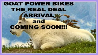 THE GOAT has ARRIVED!!  THE INSPECTION---and WHAT is COMING SOON FROM THE GOAT POWER BIKES COMPANY!