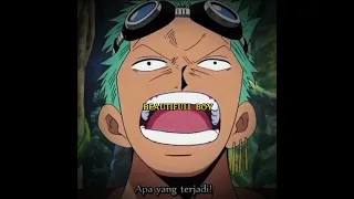 Зоро и Чоппер 🤩 #anime #аниме #onepiece #ванпис #edit #эдит #zoro #chopper #roronoazoro #зоро