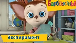 Эксперимент 🔬 Барбоскины 🔍 Сборник мультфильмов 2019