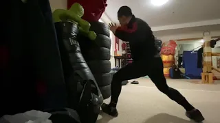 Choy Lee Fut Kung fu training蔡李佛