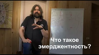 Что такое эмерджентность?