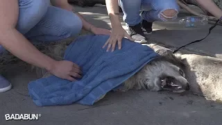 Quisimos cambiarle la vida a este perro, pero él cambió la nuestra