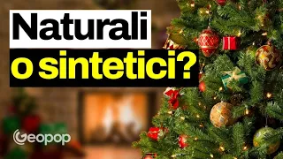 Albero di Natale vero o finto: quale ha il minor impatto ambientale? La risposta non è scontata