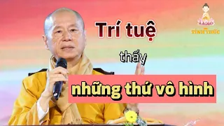 TRÍ TUỆ vươn tới NHỮNG THỨ VÔ HÌNH - TT. Thích Chân Quang