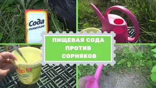 Пищевая сода против сорняков