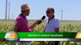 Arenda în vremuri secetoase 29 07 2020