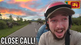 Chased By Wild Elephants In Sri Lanka! 🇱🇰