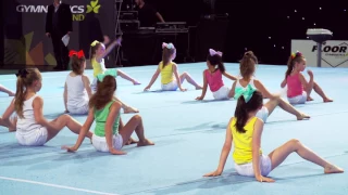 The Floor 2017 : DP Divas - DP Gymnastics