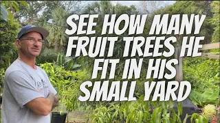 Growing Fruit Trees In Small Spaces