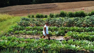 This Farmer Is Determined To Use Food To Help End Racism & Injustice