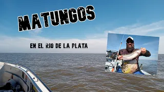 LOS MATUNGOS DEL RIO DE LA PLATA. #Pesca de pejerrey increible. #Rio de la Plata 2021