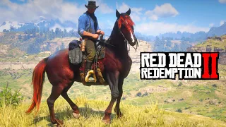 LE SAVAIS-TU ? VOICI LE VRAI CHEVAL DE ARTHUR (Boadicea) - RED DEAD REDEMPTION 2