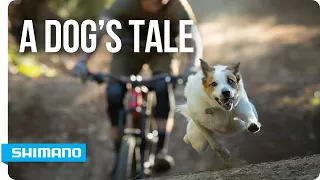 A Dog's Tale | SHIMANO