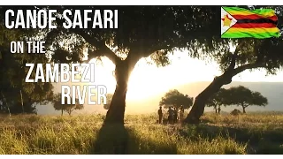 Canoe safari on the Zambezi River, Zimbabwe