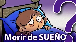 ¿Puedes morirte de SUEÑO?😴